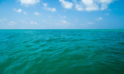 Obraz premium Generated image