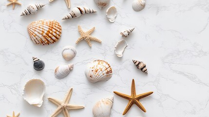 Obraz premium Small seashells and starfish arranged in a flat lay composition evoke a summer beach theme against a white background SEAMLESS PATTERN