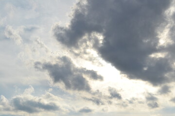 Obraz premium sunset, sky, sun, clouds, sunrise, cloud, nature, landscape, orange, light, evening, dark, blue, dusk, morning, red, summer, trees, sunlight, horizon, tree, yellow, beautiful, night