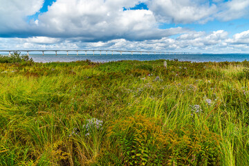 A view across the undergrowth towards the Confederation bridge, Prince Edward Island, Canada in the fall