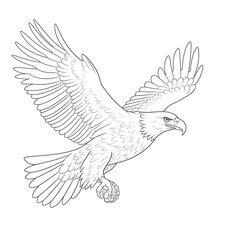 Obraz premium Hand draw of a Flying eagle 
