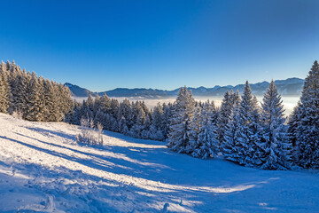 Obraz premium Allgäu - Winter - Alpen - Schnee - Wald - Berge