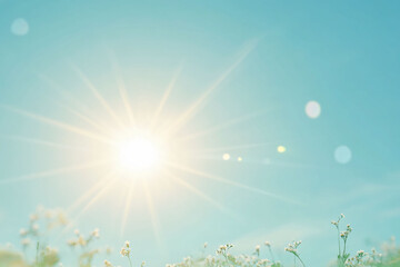 Obraz premium Bright sun shining over a field of flowers.