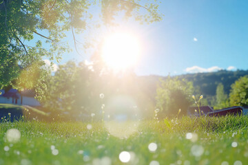 Bright sunlight over a grassy field with trees.