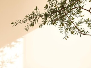 Fototapeta premium Minimalistic olive tree branch casting long shadows on beige wall background with sunlight creating a serene Mediterranean scene, generative AI, olive tree, sunlight