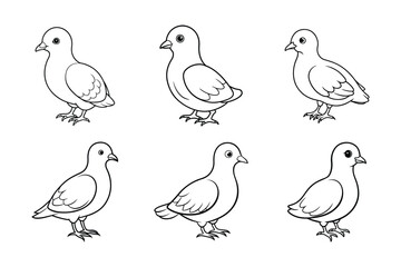Fototapeta premium baby dove line art vector illustration