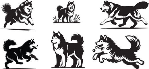 Fototapeta premium Bundle of six Alaskan Malamute silhouette vector illustrations.