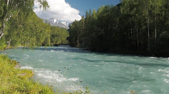 Natural water. The rapid flow of a mountain river against the background of forests and snow-covered mountain peaks. Siberia.