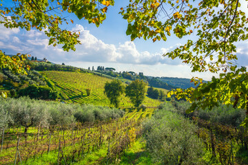 Chianti vineyards landscape in autumn. Tuscany region, Italy
