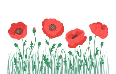 Obraz premium Horizontal banner with gorgeous multicolored blooming flowers, leaves border. Spring or summer botanical vector illustration with different poppy