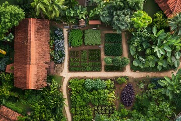 Aerial View of Eco-Friendly Agriculture with Water Management