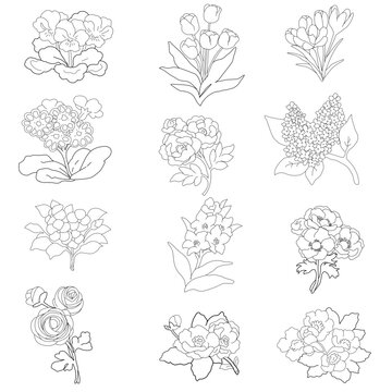 Set of drawing lines for a flowers, lines art