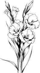 Obraz premium Gladiolus Vector, Gladiolus Outline Art, Gladiolus Flower Illustration, Gladiolus Sketch, Floral Gladiolus Design, Botanical Gladiolus Clipart, Gladiolus Bloom Vector, Elegant Gladiolus Drawing