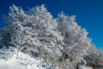 Frignano Regional Park winter heavy snowfall Passo del Lupo Sestola