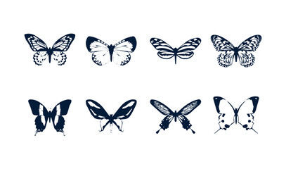 Fototapeta premium Beautiful butterfly shape 