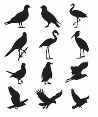 Obraz premium A collection of twelve black silhouettes of various birds.