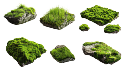 Exploring vibrant moss textures natural landscape 3d render greenery environment macro view nature concept for eco-design and landscaping inspiration in isolated on transparent or white background