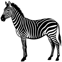 Fototapeta premium zebra silhouette vector illustration on white background
