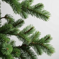 Fototapeta premium The image appears to be a close-up of a section of a Christmas tree. AI generated