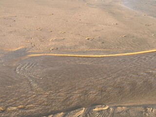 Life on beach of Karachi with sea sand.
