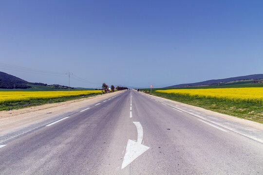 A Road in the Countryside of El Krib, Northwest Tunisia.