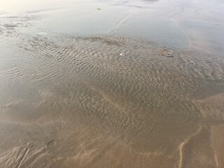 Life on beach of Karachi with sea sand.