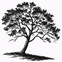 Obraz premium green tree isolated vector on a white background 