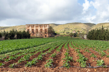 An Abandoned House in a Field in the Region of Ghar El Melh, Bizerte, Tunisia.