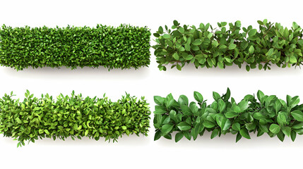Naklejka premium green borderson isolated on a white background