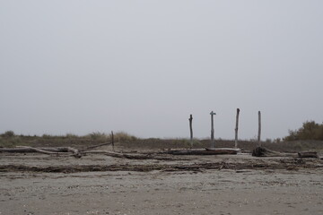 Lido di Dante, Adriatic Sea (Romagna), Italy