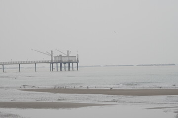 Lido di Dante, Adriatic Sea (Romagna), Italy