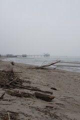 Lido di Dante, Adriatic Sea (Romagna), Italy