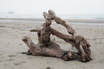 Lido di Dante, Adriatic Sea (Romagna), Italy