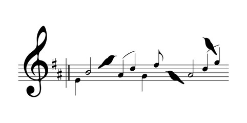 Notes and birds