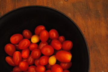 tomatoes in a bowl