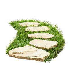 Pathway of stones through lush green grass. PNG