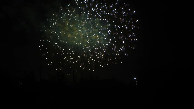 red pink and gold sparks scattering fireworks on the black night sky over the city. General plan