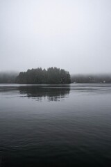 Fototapeta premium Tofino harbour on an early foggy morning