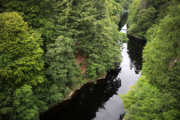 Fototapeta premium Linn of Tummel - Trees along river Garry - Garry Bridge - Perthshire - Scotland - UK