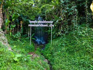 small cascading waterfall in a tropical forest.  The water flows through a small opening in a dense...