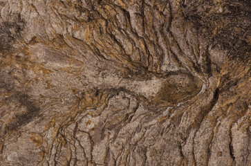 Marks on the surface of a rock. Integral Natural Reserve of Inagua. Gran Canaria. Canary Islands....
