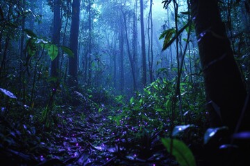 Enchanted forest path at night, glowing with fireflies and soft mist.