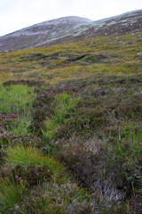 Path following Glas-allt river leading to Lochnagar - Loch Muick to Lochnagar path - Aberdeenshire - Scotland - UK