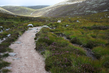 Path following Glas-allt river leading to Lochnagar - Loch Muick to Lochnagar path - Aberdeenshire - Scotland - UK