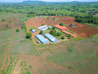 Poultry Farm Aerial View: An aerial shot reveals a sprawling poultry farm nestled amidst vibrant green fields and reddish-brown earth, showcasing modern poultry houses and agricultural lands.