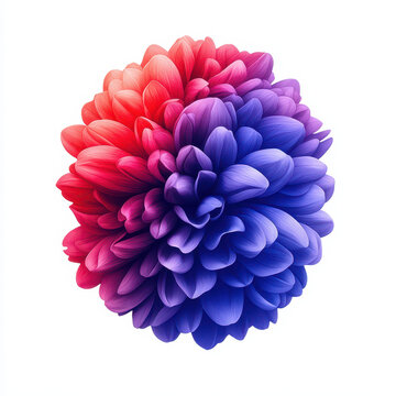 vibrant flower with red and purple petals, showcasing beauty and elegance