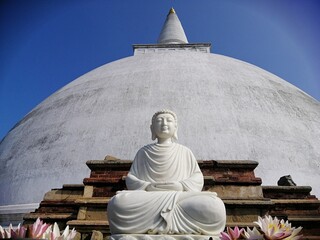 Peaceful Serenity
Buddha's Gaze
Timeless Wisdom
Sacred Presence
Tranquil Beauty Echoes of Enlightenment
A Glimpse of Nirvana
Where Tranquility Resides
A Sacred Tapestry
A Tapestry of Serenity