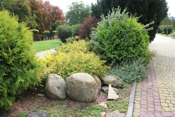 Fototapeta premium Design of landscaping in the garden, park, square, recreation area