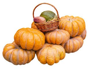 Big beautiful pumpkins on a white