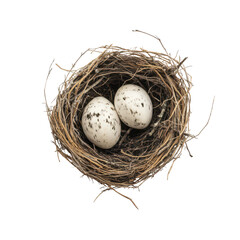 A bird&acirc;&euro;&trade;s nest containing two speckled eggs on a clean transparent background symbolizing new beginnings, Birds&acirc;&euro;&trade; nest on a transparent background